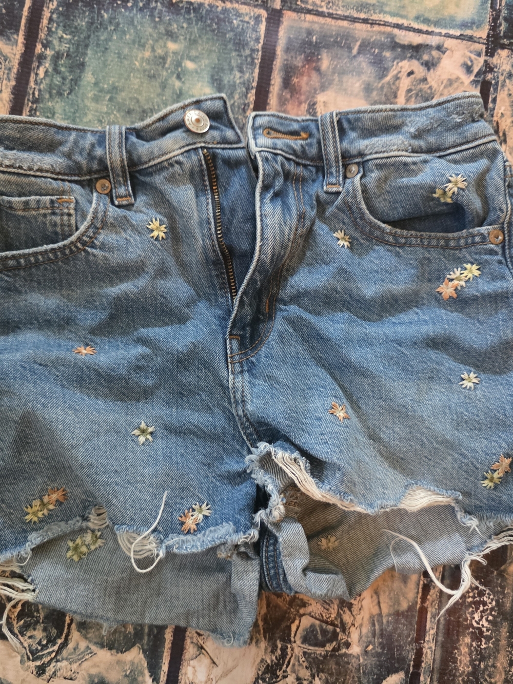 Women’s American Eagle Embroidered Denim Shorts Size 00